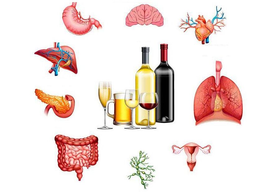 alkoholio poveikis organizmui